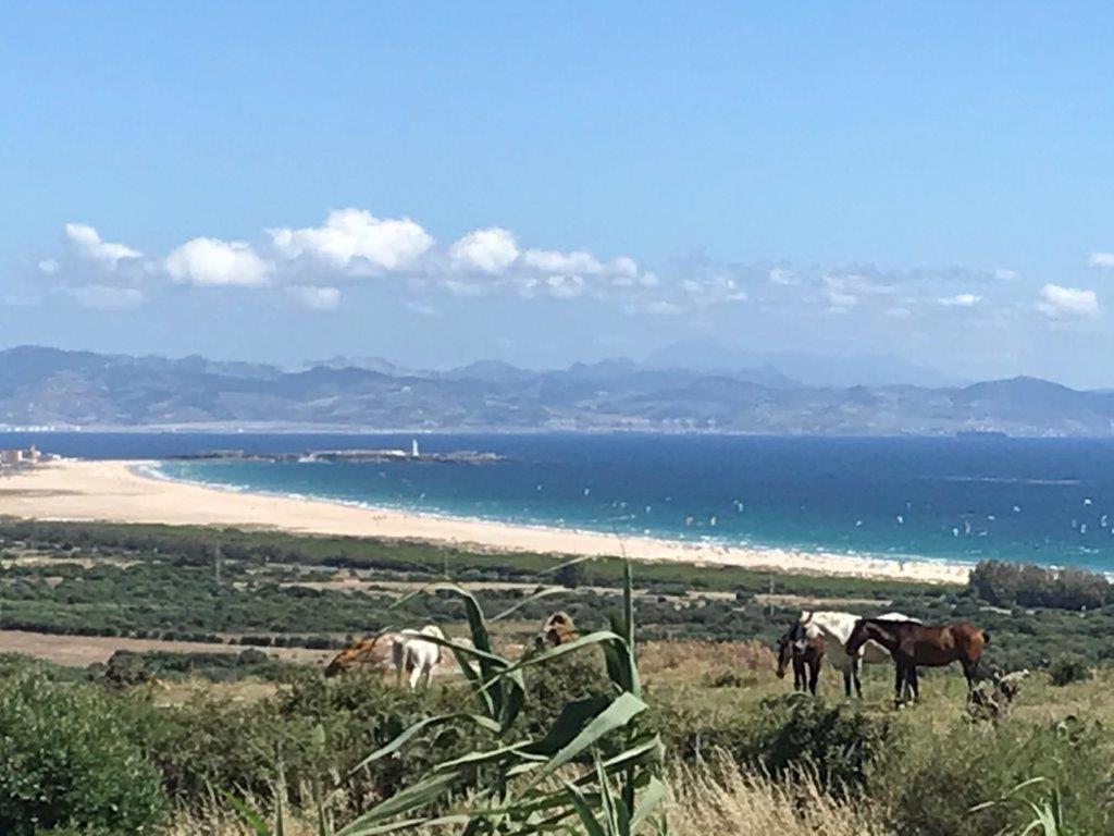 Rustic Cabin Tarifa 4 Guests 10 Minutes To Beach Exterior foto